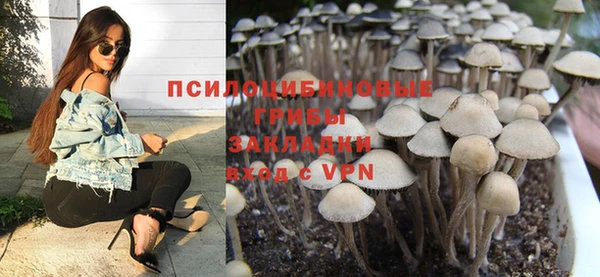 PSILOCYBIN Володарск