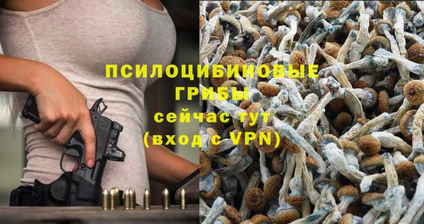 МДПВ Горнозаводск