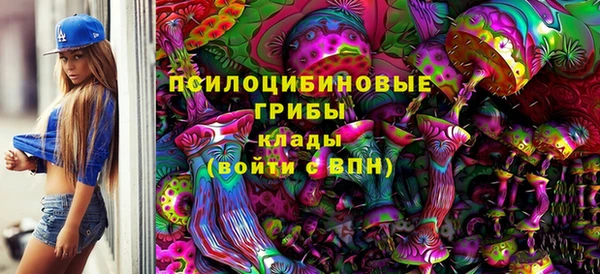 МДПВ Горнозаводск