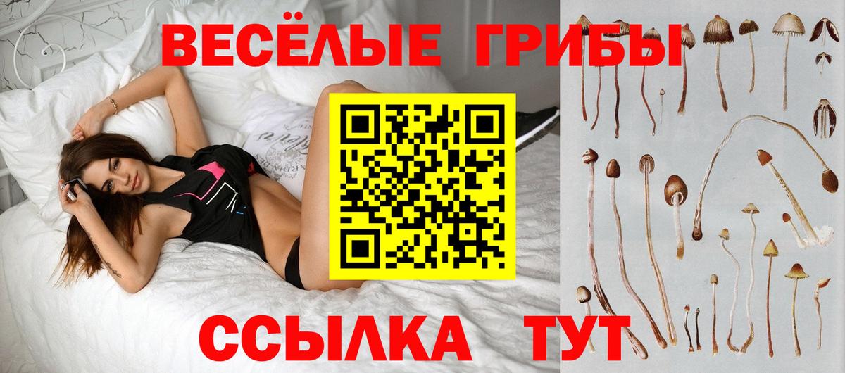 Псилоцибиновые грибы MAGIC MUSHROOMS Джанкой