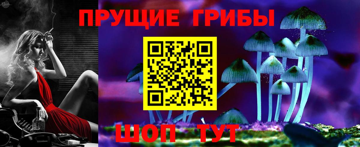 Джанкой  Галлюциногенные грибы Psilocybe  Галлюциногенные грибы Psilocybe  Вход с VPN 